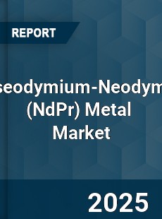 Global Praseodymium Neodymium Metal Industry