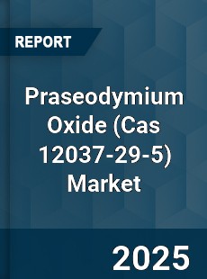 Global Praseodymium Oxide Market