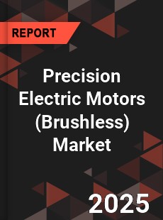 Global Precision Electric Motors Market