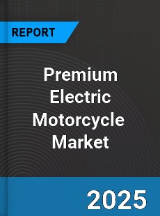 Global Premium Electric Motorcycle Professional Survey Report
