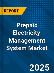 Prepaid Electricity Sales Management System Market