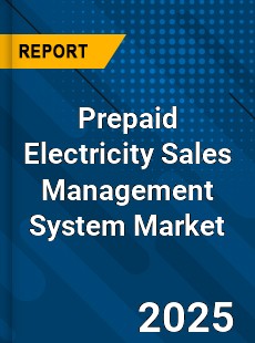 Prepaid Electricity Sales Management System Global and China Top Players Market