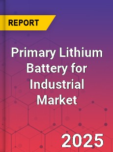 Primary Lithium Battery for Industrial Market