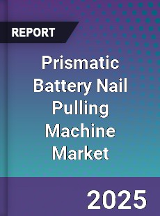 Prismatic Battery Nail Pulling Machine Market