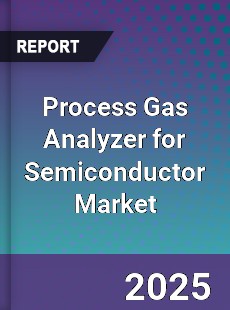 Process Gas Analyzer for Semiconductor Market