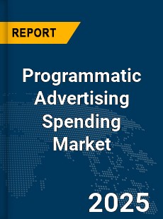 Global Programmatic Advertising Spending Market