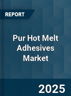 COVID 19 Outbreak Global Pur Hot Melt Adhesives Industry
