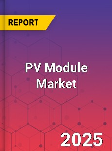 Global PV Module Market