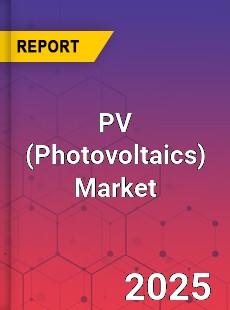Global PV Market