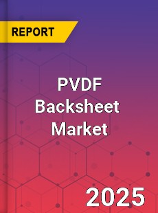 PVDF Backsheet Global and China Top Players Market