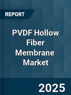 Global PVDF Hollow Fiber Membrane Industry