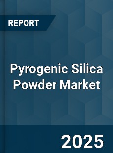Pyrogenic Silica Powder Market