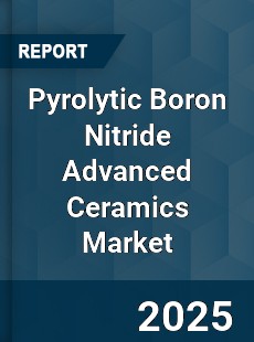 COVID 19 Outbreak Global Pyrolytic Boron Nitride Advanced Ceramics Industry