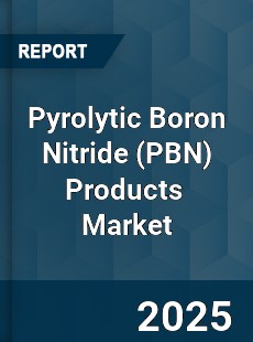Global Pyrolytic Boron Nitride Products Industry