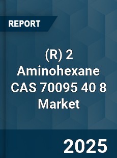 Global 2 Aminohexane CAS 70095 40 8 Industry