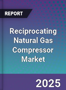 Reciprocating Natural Gas Compressor Market