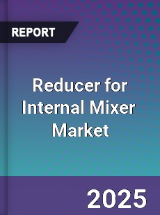 Global Reducer For Internal Mixer Industry