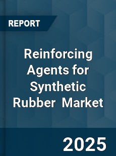 Global Reinforcing Agents for Synthetic Rubber Industry