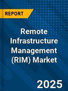 Global Remote Infrastructure Management Industry