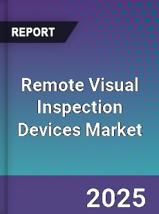 Global Remote Visual Inspection Devices Market