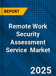 Global Remote Work Security Assessment Service Industry