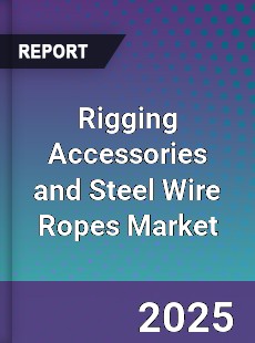 Global Rigging Accessories and Steel Wire Ropes Market