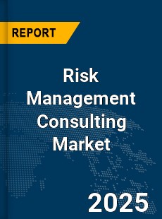 Global Risk Management Consulting Market
