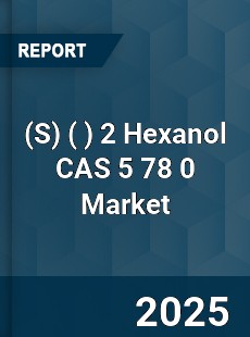 Global 2 Hexanol CAS 5 78 0 Industry