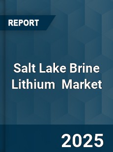 Global Salt Lake Brine Lithium Industry