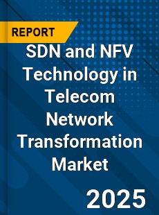 Global SDN and NFV Technology in Telecom Network Transformation Market