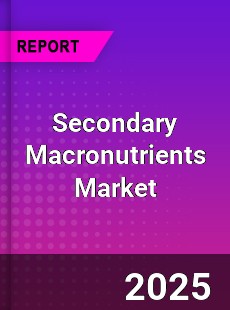 Worldwide Secondary Macronutrients Market