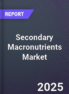 Secondary Macronutrients Global Market