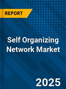 Global Self Organizing Network Industry