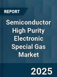 Global Semiconductor High Purity Electronic Special Gas Market
