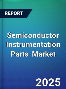Global Semiconductor Instrumentation Parts Industry