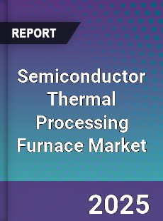 Semiconductor Thermal Processing Furnace Market