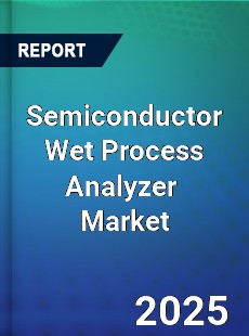 Semiconductor Wet Process Analyzer Global and China Top Players Market