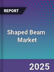Shaped Beam Global and China Top Players Market