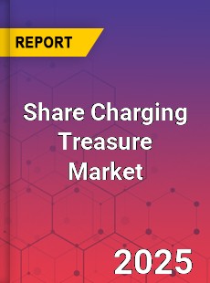 Global Share Charging Treasure Industry
