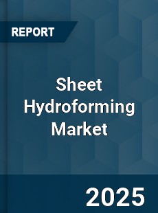 Report on Global Sheet Hydroforming Market by Player