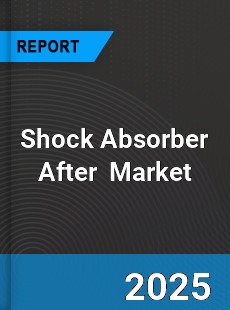 Global Shock Absorber Aftermarket Market