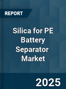 Global Silica for PE Battery Separator Industry