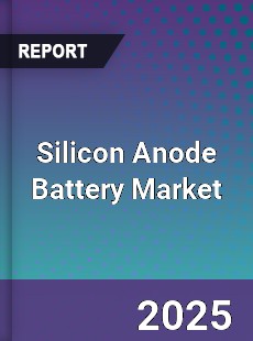 Global Silicon Anode Battery Market