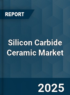 Report on Global Silicon Carbide Ceramic Market by