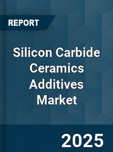 Worldwide Silicon Carbide Ceramics Additives Market