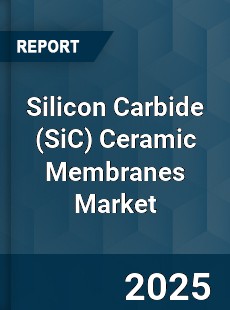 Worldwide Silicon Carbide Ceramic Membranes Market