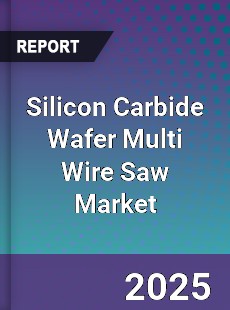 Silicon Carbide Wafer Multi Wire Saw Market