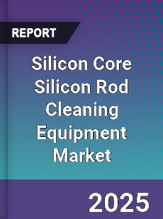 Silicon Core Silicon Rod Cleaning Equipment Market