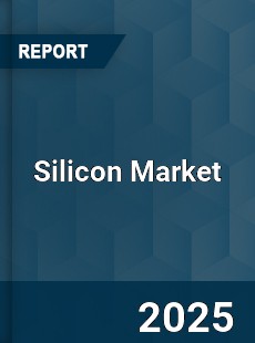 Global Silicon Market