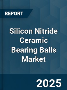 Worldwide Silicon Nitride Ceramic Bearing Balls Market